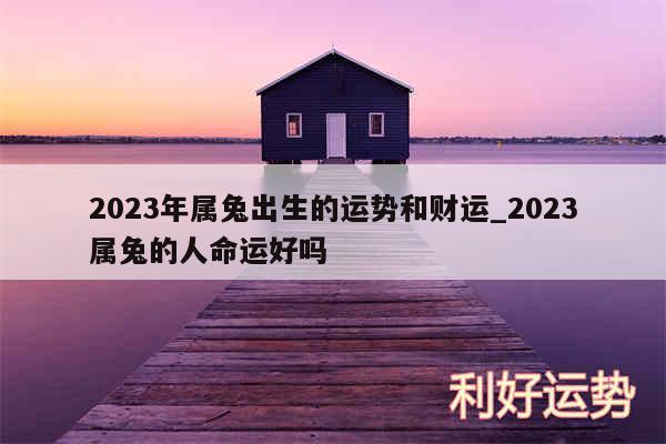 2024年属兔出生的运势和财运_2024属兔的人命运好吗