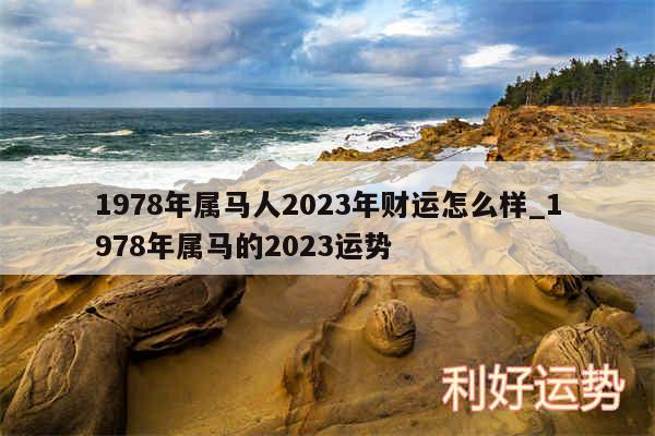 1978年属马人2024年财运怎么样_1978年属马的2024运势