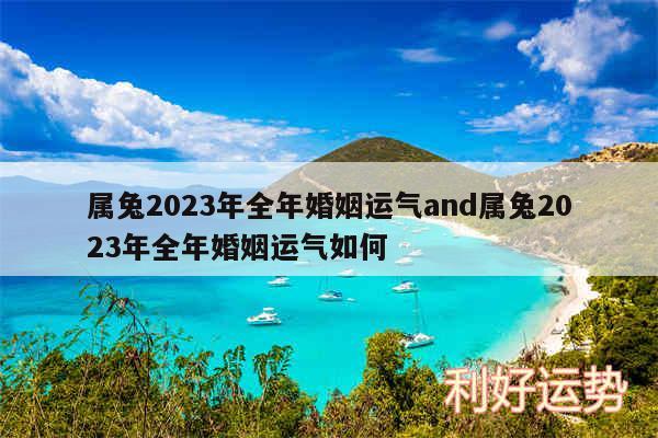 属兔2024年全年婚姻运气and属兔2024年全年婚姻运气如何