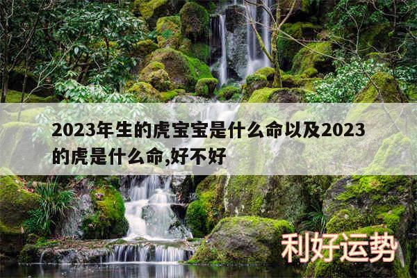 2024年生的虎宝宝是什么命以及2024的虎是什么命,好不好