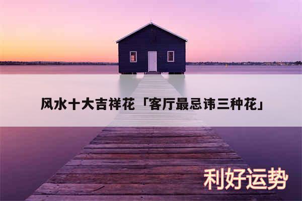 风水十大吉祥花及客厅最忌讳三种花