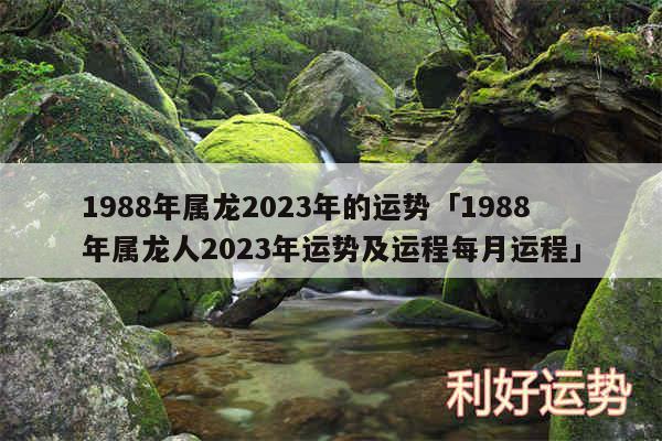 1988年属龙2024年的运势及1988年属龙人2024年运势及运程每月运程