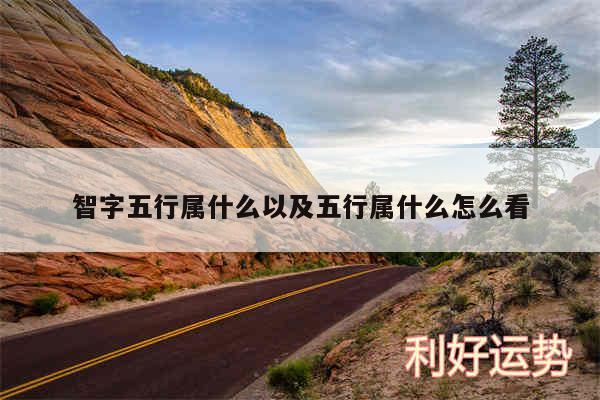 智字五行属什么以及五行属什么怎么看