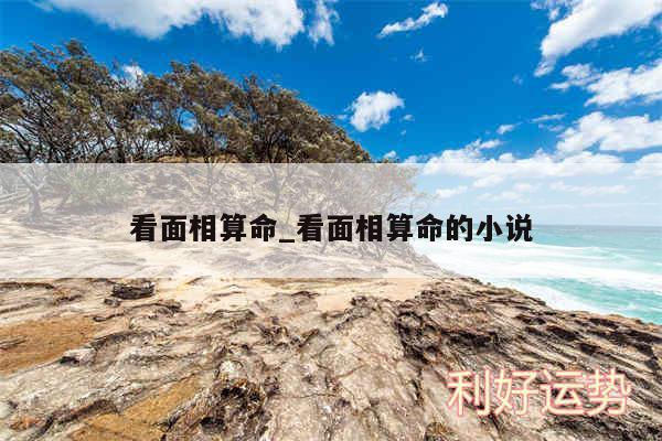 看面相算命_看面相算命的小说