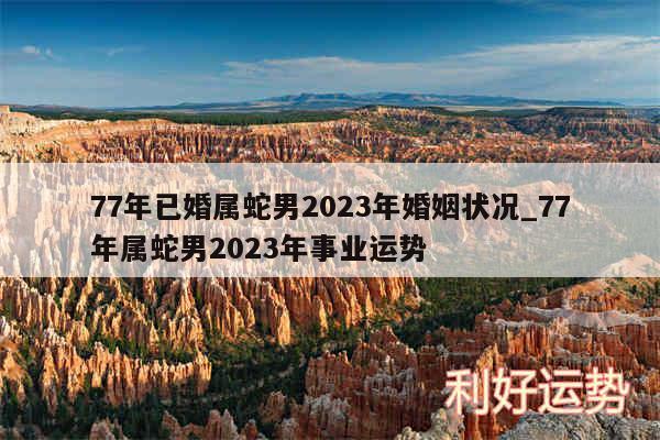 77年已婚属蛇男2024年婚姻状况_77年属蛇男2024年事业运势