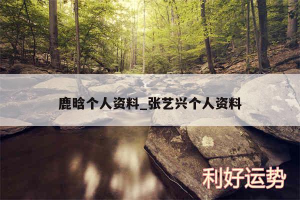 鹿晗个人资料_张艺兴个人资料