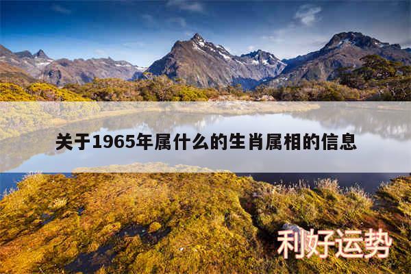 关于1965年属什么的生肖属相的信息