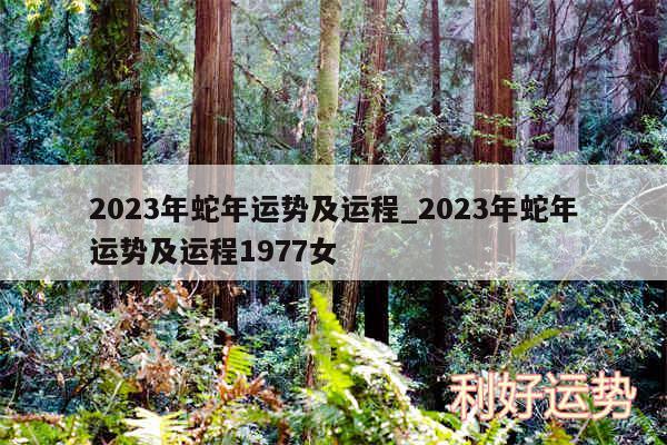 2024年蛇年运势及运程_2024年蛇年运势及运程1977女