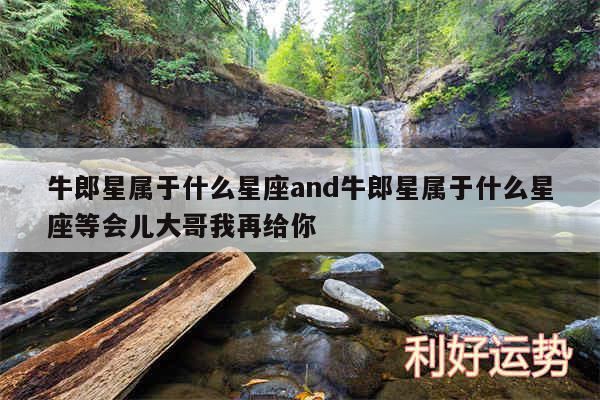 牛郎星属于什么星座and牛郎星属于什么星座等会儿大哥我再给你