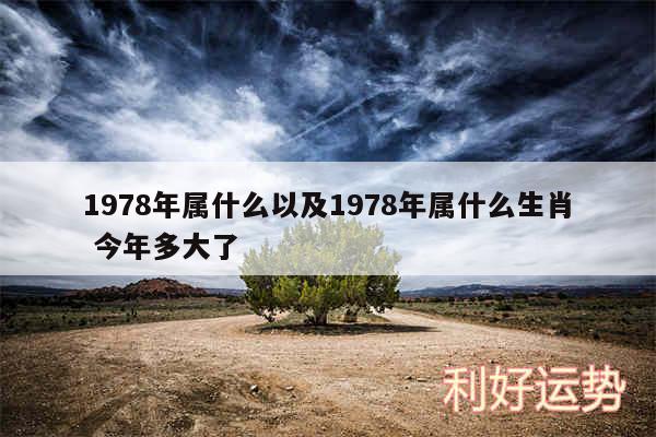 1978年属什么以及1978年属什么生肖 今年多大了