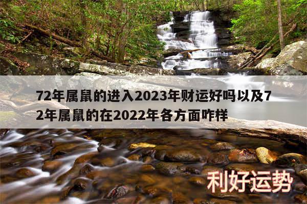 72年属鼠的进入2024年财运好吗以及72年属鼠的在2024年各方面咋样