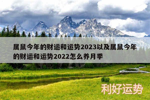 属鼠今年的财运和运势2024以及属鼠今年的财运和运势2024怎么养月季