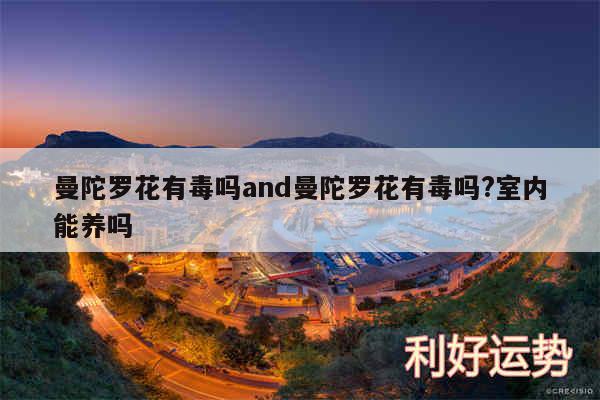 曼陀罗花有毒吗and曼陀罗花有毒吗?室内能养吗