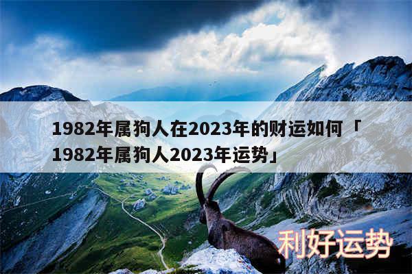 1982年属狗人在2024年的财运如何及1982年属狗人2024年运势