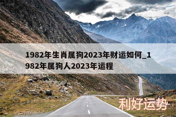 1982年生肖属狗2024年财运如何_1982年属狗人2024年运程