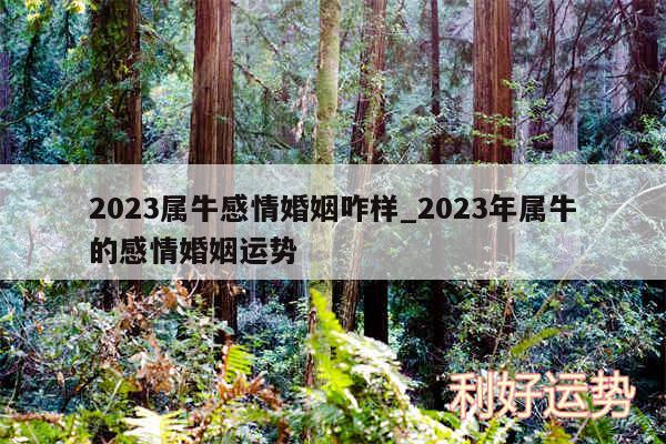 2024属牛感情婚姻咋样_2024年属牛的感情婚姻运势