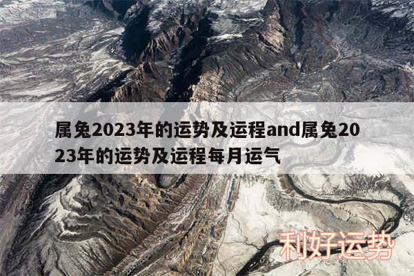 属兔2024年的运势及运程and属兔2024年的运势及运程每月运气