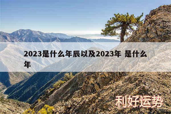 2024是什么年辰以及2024年 是什么年