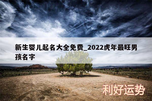 新生婴儿起名大全免费_2024虎年最旺男孩名字