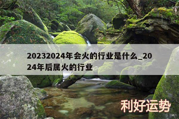 20242024年会火的行业是什么_2024年后属火的行业