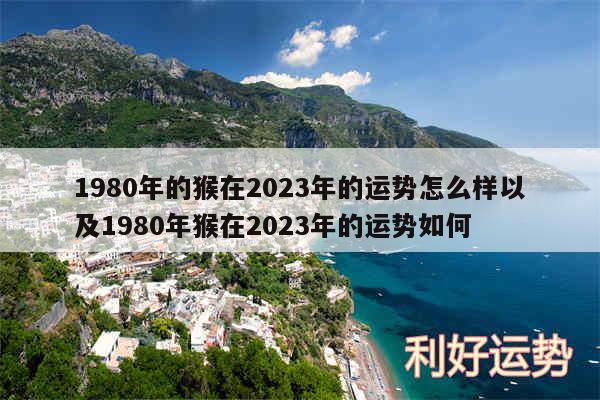 1980年的猴在2024年的运势怎么样以及1980年猴在2024年的运势如何