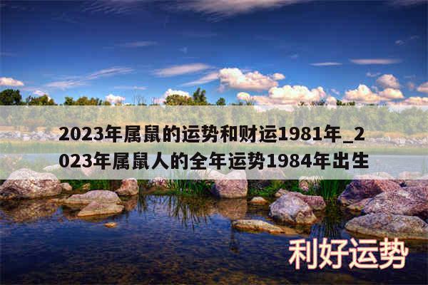 2024年属鼠的运势和财运1981年_2024年属鼠人的全年运势1984年出生