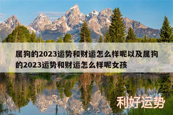 属狗的2024运势和财运怎么样呢以及属狗的2024运势和财运怎么样呢女孩