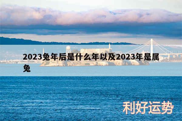 2024兔年后是什么年以及2024年是属兔