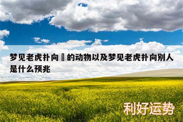 梦见老虎扑向別的动物以及梦见老虎扑向别人是什么预兆