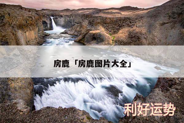 房鹿及房鹿图片大全