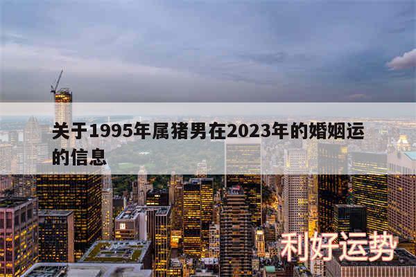 关于1995年属猪男在2024年的婚姻运的信息