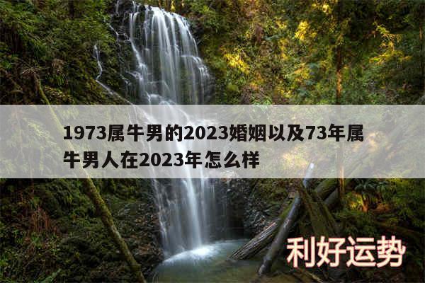 1973属牛男的2024婚姻以及73年属牛男人在2024年怎么样