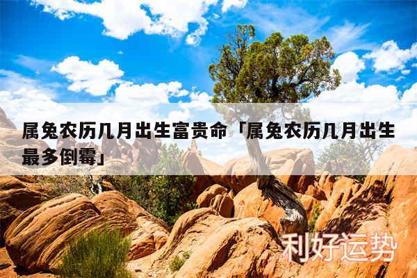 属兔农历几月出生富贵命及属兔农历几月出生最多倒霉