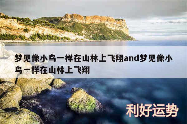 梦见像小鸟一样在山林上飞翔and梦见像小鸟一样在山林上飞翔