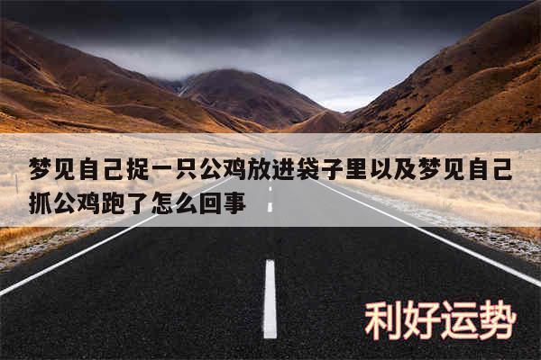 梦见自己捉一只公鸡放进袋子里以及梦见自己抓公鸡跑了怎么回事