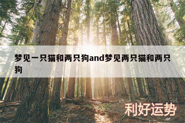 梦见一只猫和两只狗and梦见两只猫和两只狗