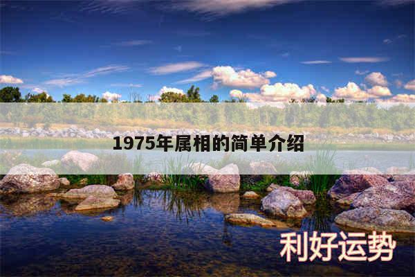 1975年属相的简单介绍