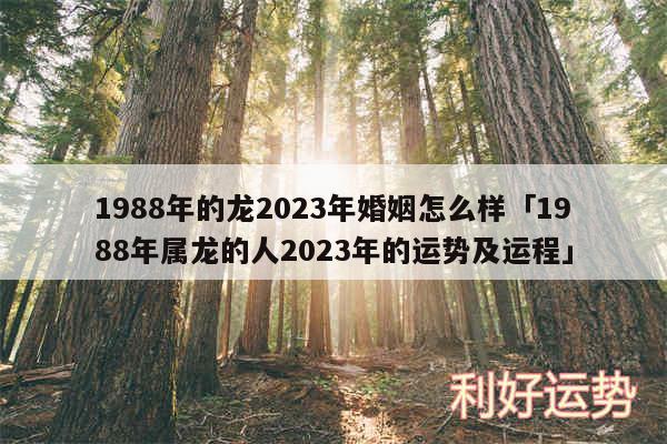 1988年的龙2024年婚姻怎么样及1988年属龙的人2024年的运势及运程