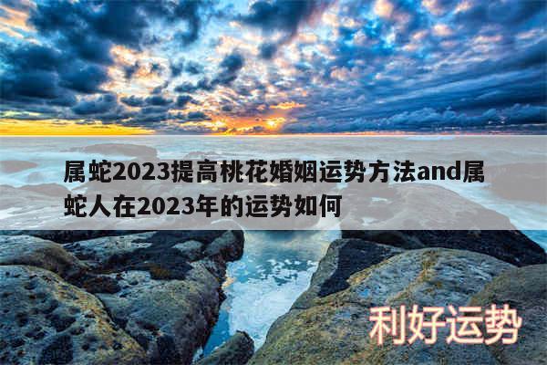 属蛇2024提高桃花婚姻运势方法and属蛇人在2024年的运势如何