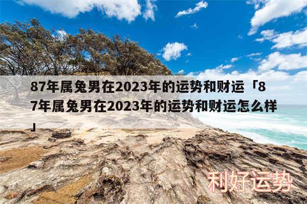 87年属兔男在2024年的运势和财运及87年属兔男在2024年的运势和财运怎么样