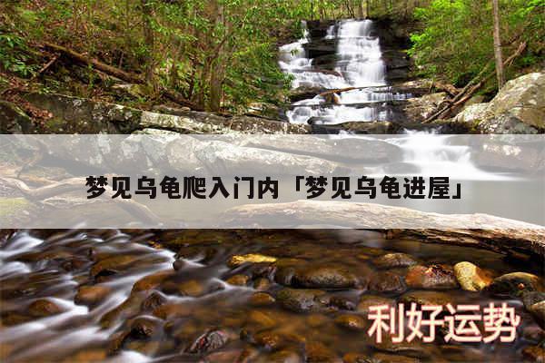 梦见乌龟爬入门内及梦见乌龟进屋