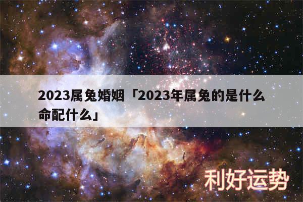 2024属兔婚姻及2024年属兔的是什么命配什么