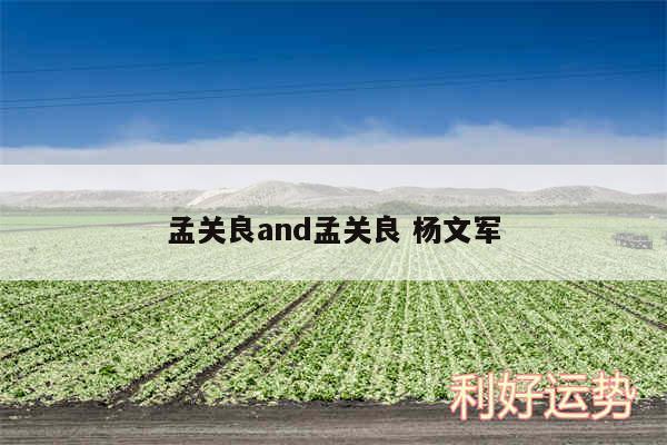孟关良and孟关良 杨文军