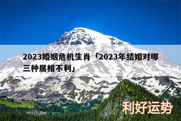 2024婚姻危机生肖及2024年结婚对哪三种属相不利