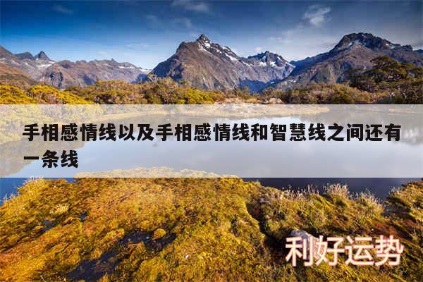 手相感情线以及手相感情线和智慧线之间还有一条线