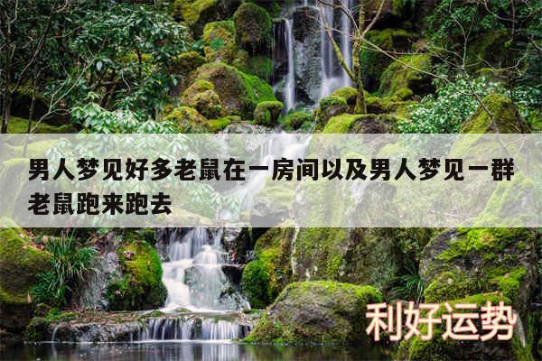 男人梦见好多老鼠在一房间以及男人梦见一群老鼠跑来跑去