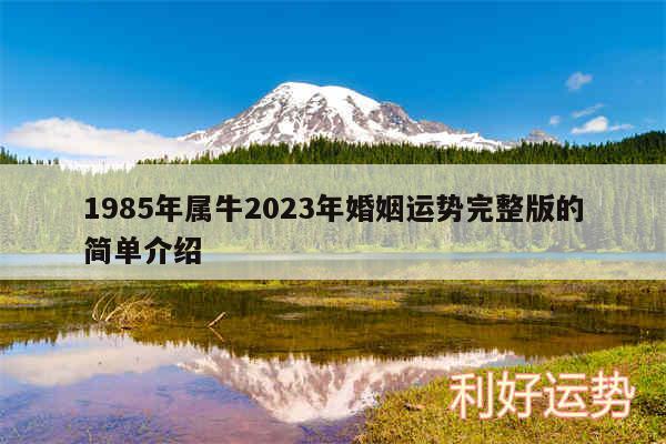 1985年属牛2024年婚姻运势完整版的简单介绍