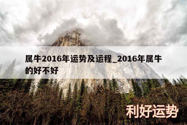 属牛2016年运势及运程_2016年属牛的好不好