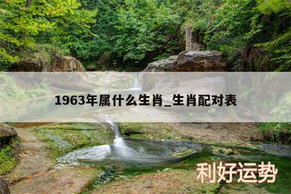 1963年属什么生肖_生肖配对表