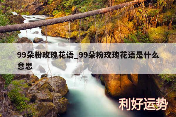 99朵粉玫瑰花语_99朵粉玫瑰花语是什么意思